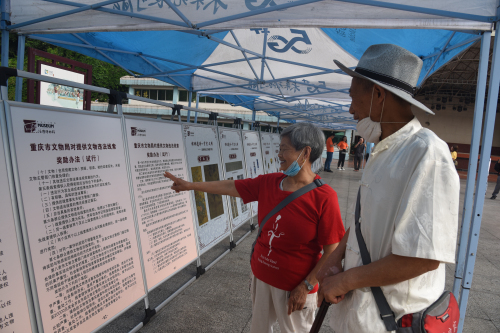 DSC_0942.jpg DSC_0942.jpg