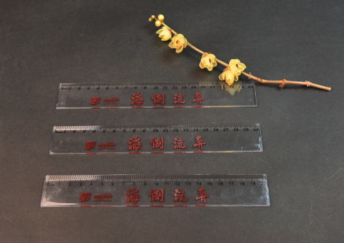 19、“奔流倒海”题记亚克力学生尺.jpg 19、“奔流倒海”题记亚克力学生尺.jpg