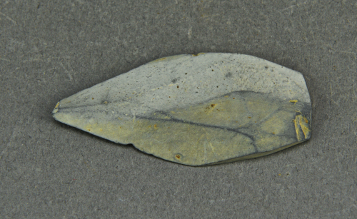 7新石器时代石矛.jpg 7新石器时代石矛.jpg