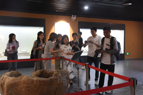 DSC_6478.jpg DSC_6478.jpg